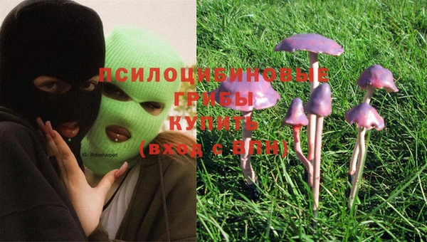 марки lsd Зерноград