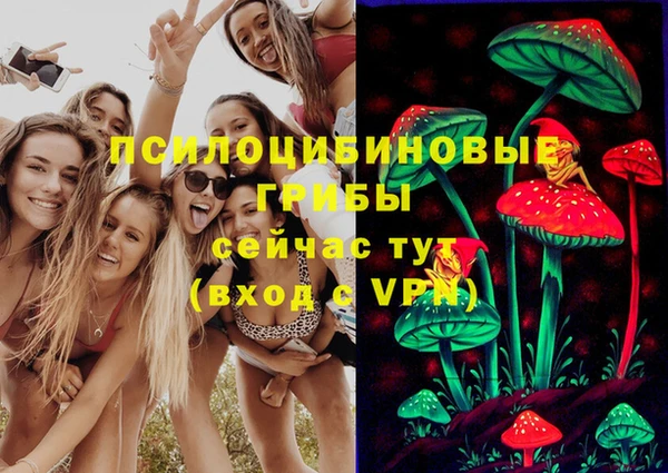 прущие крисы Зеленокумск