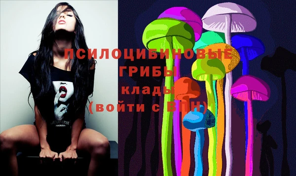 прущие крисы Зеленокумск