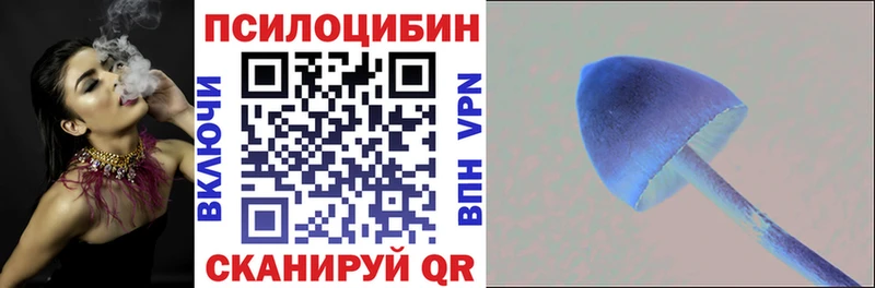Галлюциногенные грибы Cubensis  Купить  Мценск 